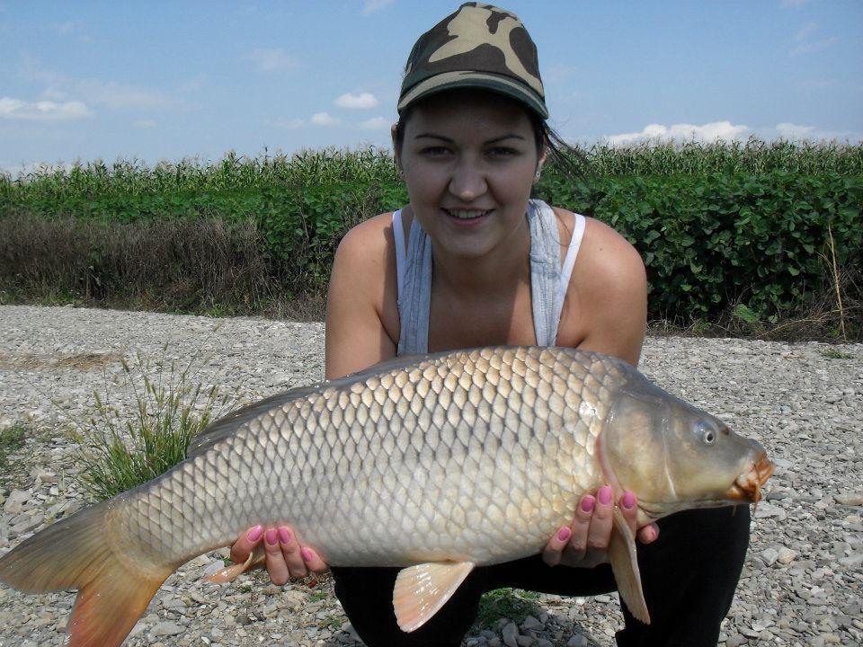 ccarp - 308140_226441720750591_100001542957380_594741_2098152285_n.jpg